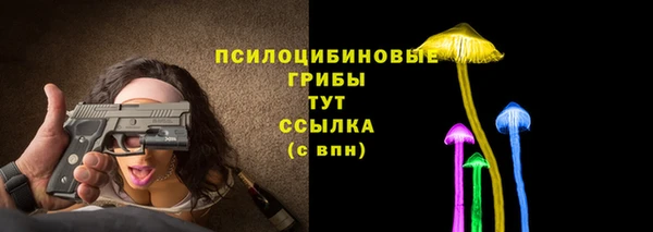 a pvp Аркадак