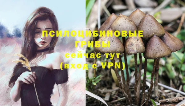 MDMA Premium VHQ Медногорск