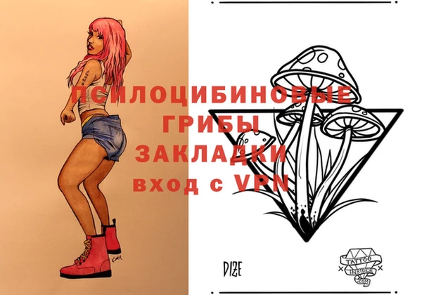 a pvp Аркадак